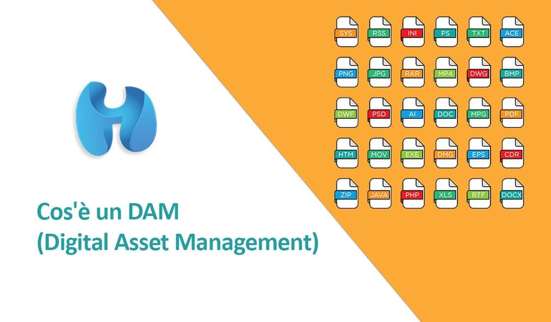 Cos'è un DAM (Digital Asset Management) Sviluppo