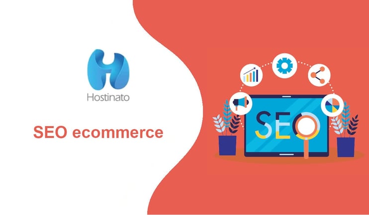 seo ecommerce